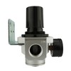 1" NPT Air Compressor Pressure Regulator with Gauge and Wall