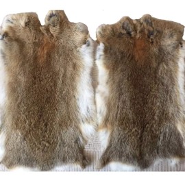 Unbranded 5PCS Real Natural Rabbit Skin Pelt Fur Hides Soft Leather Tanned Craft Dummy DIY