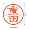 Shachihata Stamp Name 6 Correction Stamp XL - 6 Stamp