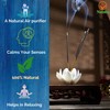 Naisha Incense Sticks Set of 4 (50 Gm Each) Calming