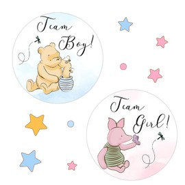 ZsaTuiy Winnie The Pooh Gender Reveal Stickers, 72PCS Pink, Cartoon, Whimsical, Indoor Use, Baby Shower Decoration, Team Boy Or Girl Voting Game