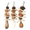 Parakeet Beak Stone Parrots Trimming Chew Toys Set Bird Nuts