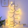 Koboko Willow Vine Fairy Lights