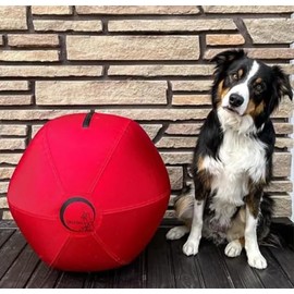 CollieBall - Herding Ball for Dogs 18″ – Inflatable, Anti-Burst, Dog Herding Ball for Australian Shepherds, Corgis, Collies, and Cattle Dogs, Durable Quality Dog Gift for Large Dogs