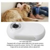 Cámara Para Collar De Gato Y Perro Hd 1080p Gran