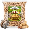Office Roast Raw Peanuts in Shell 2 lb Bag –