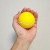 Hand Grip Ball for Improving Wrist Grip Strength (WFI2A48) / 손목 악력 향상 핸드 그립볼 (WFI2A48)