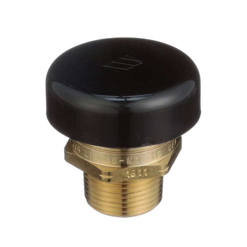 Watts LFN36-M1 Water Service Low Profile Vacuum Relief Valve for