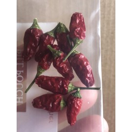 Chili Hot Peppers birds eye/ Siling Labuyo Chili hot Peppers Organic US  Home Grown Real Seed