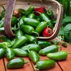 Bonnie Plants Hot Banana Pepper 19.3 oz. 4-pack, Yellow