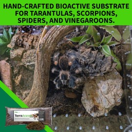 The Bio Dude Terra Aranea Bioactive Substrate for Tarantula, Scorpion, Spider, Isopod Habitat 18 quarts for terrariums, vivariums or Clean up Crew culturing.