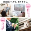 Sanwa Direct Smart Remote Control, Compatible with Google Home Alexa,