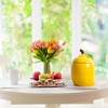 WK WENKRYGDN Lemon Kitchen Canisters Set of 2 Decorative Ceramic