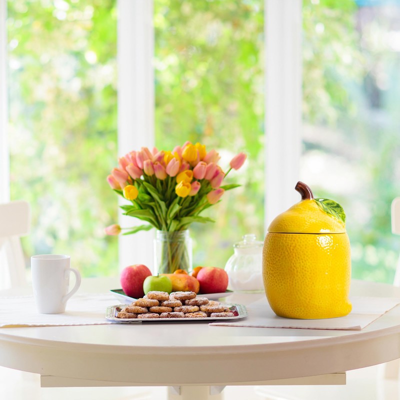 WK WENKRYGDN Lemon Kitchen Canisters Set of 2 Decorative Ceramic