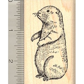 Groundhog Rubber Stamp, Woodchuck, Whistle-Pig, Marmot
