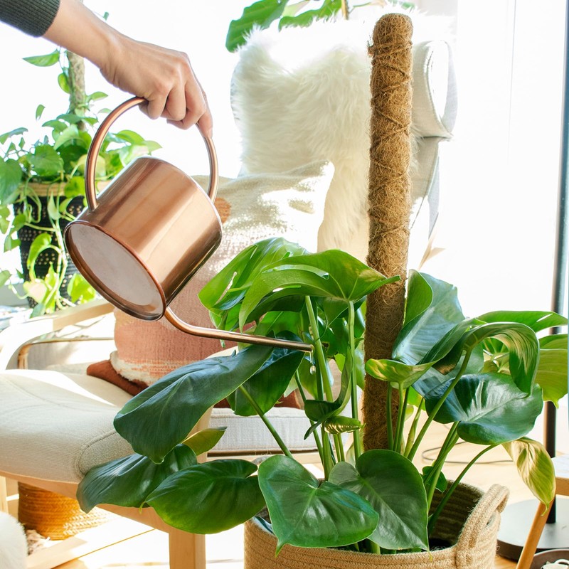 SuperMoss (22100) Coco Moss Pole, Naturally Absorbent Stackable Support for