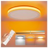 Aphyni Ceiling Light LED Dimmable 24 W Diameter 30 cm,
