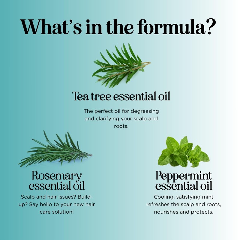 Rosemary Tea Tree Mint Shampoo - Clarifying Shampoo for Build