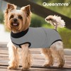 Queenmore Recovery Suit for Dogs Cats After Surgery,Dog Surgical Recovery