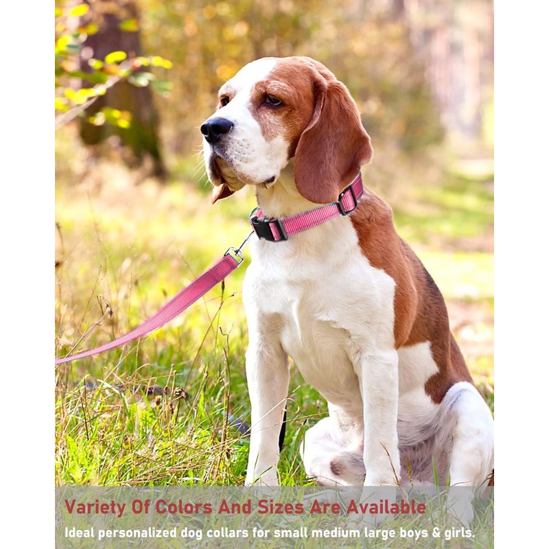 Reflective Dog Collar with Buckle Adjustable Safety Nylon Collars for