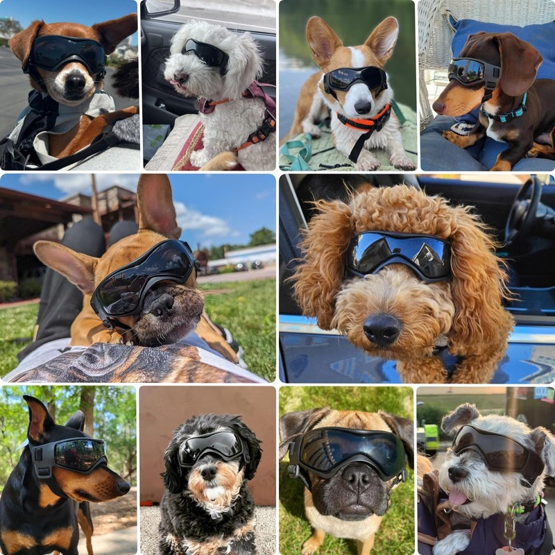 PETLESO Dog Goggles Small Breed, UV Protection Dog Sunglasses for