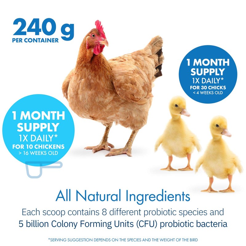 Equa Holistics HealthyGut Probiotics for Chickens & Poultry, All-Natural Digestive