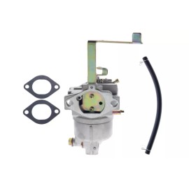 SZEJ Carburetor Carb For Homelite HG5700/HGCA5700/UT905700/5700/7125 Watt Generator