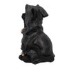 Nemesis Now Reapers Feline Cat Lantern Figurine, Black, 18.5cm