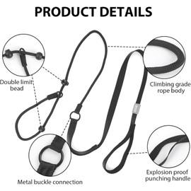 Addein Dog Slip Lead, Nylon Dog Rope Leash & Collar, Anti-Choking Training Rope for Outdoor Puppy Small Medium Large Dogs