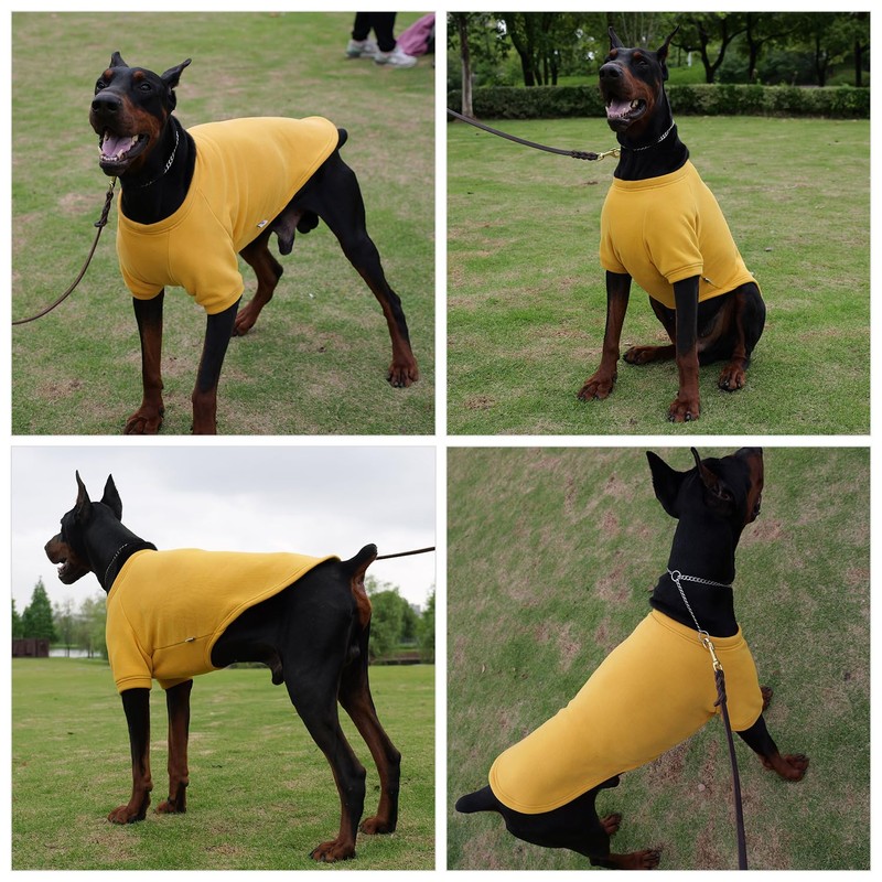 Lovelonglong Sweatshirt Cold Weather Pullover Autumn and Winter T-Shirts for