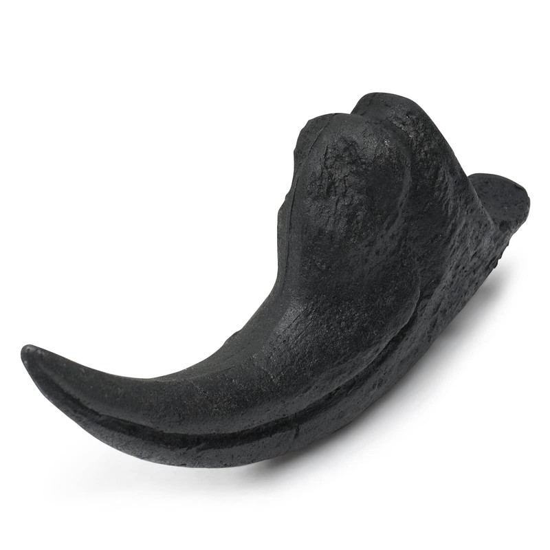 Fossilized Teeth and Claws of Various Prehistoric Dinosaurs, Megalodon Shark