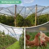 WindscreenSupplyCo Protection Cover 12 Ft. x 12 Ft. Garden Netting
