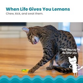 Catstages Dental Lemon Teether, Soft and Textured Cat Chew Toy, Catnip Oil Coating, Yellow