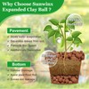 Sunwinx 2 LBS Natural Leca Clay Pebbles for Plants- 4-16mm