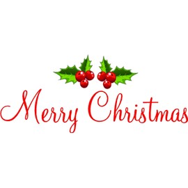 #2 Merry Christmas with Printed Mistletoes Red Vinyl Wall Decals Sayings Art Lettering