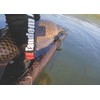 Tandem Baits Carp Feed Fishing Food Pop Ups Boilies Zig