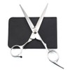 Professional Barber Hair Cutting Scissors Shears Stainless Steel Barber Scissors