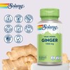 Ginger - 100 Vegan Capsules - High Strength Ginger Supplement