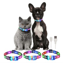 YUSHANG Light Up Dog Collars,LED Dog Collar Rechargeable Waterproof,LED Plastic Buckle Glow Collar for Cats and Small Dogs-XS(Size can be Crop)