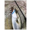 Glory Fish LU-001 Metal Jig, Sardine Jig, Throw, Silver ZG,