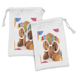 Ambesonne Birthday Party Fabric Pouch Set of 2, Celebration Puppy Dog Golden Glasses Balloons Present Themed Artwork, Small Drawstring Bag for Toiletries Masks and Favors, 9" x 6", Multicolor