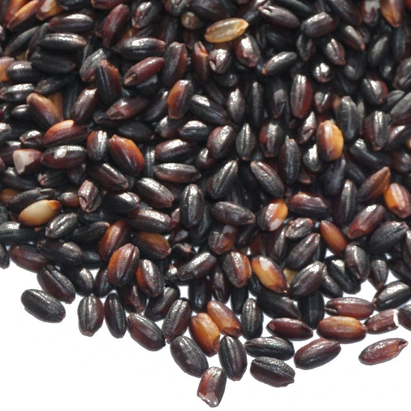 Akita Black Rice, Kuromai, Black Rice, Black Rice, Chicken Blood,