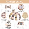 GAMUDA Small Dog Harness Collar and Leash Set, Step in