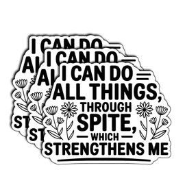 (3Pcs) I Can Do All Things Through Spite Stickers Funny Sarcastic Quote Humor Motivational Inspirational Gifts Waterproof Vinyl Decals for Kindle Water Bottle Bumper Car Hard Hat Phone Laptop 3x2.3