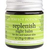 Perfect Potion Replenish Night Balm 25 g