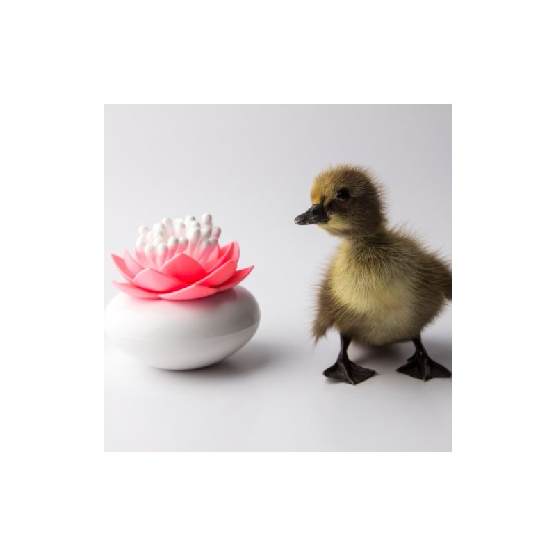 Qualy-Cotton Bud Box Lotus White/Pink