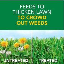 Scott's Scotts Weed and Feed Turf Builder 11.32 lbs. , Weed Killer Plus Lawn Fertilizer