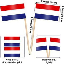 Pack of 100 Different Countries Toothpick Flag, Vibrant Double-Sided Toothpick Flags, Eurovision European Toothpick Flags, Party Decoration, Cocktail Fruit Stick, Cupcakes Toppers