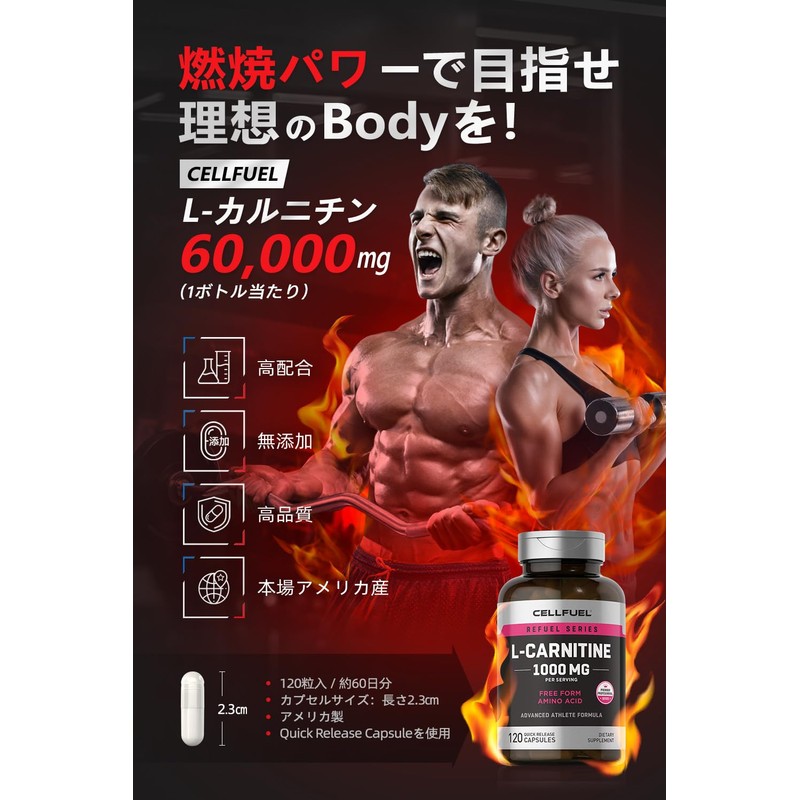 L-カルニチン(500mgx120粒=全60,000mg配合) 燃焼サポート CoA分析証明書あり CELLFUEL from N.Y.