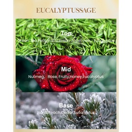 M&SENSE Eucalyptus Sage Scented Candle, 14.1oz 60H Burn Time Slow Burning, Natural Soy Candles Aromatherapy Relaxing Sleep, Home Fragrance Housewarming Gifts